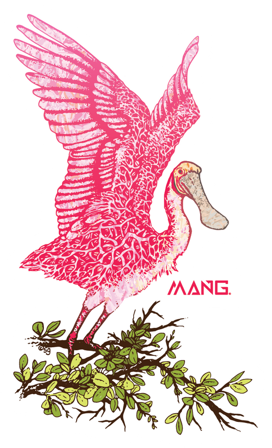 MANG Spoonbill MANG - Sticker - -