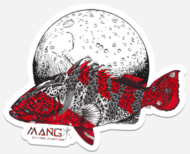 MANG Grouper Moon Sticker - -